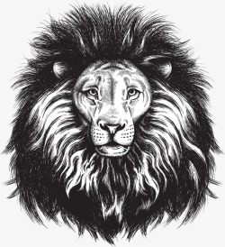 手绘狮子头素材
