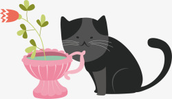 宠物鲜花喝水的猫咪矢量图高清图片