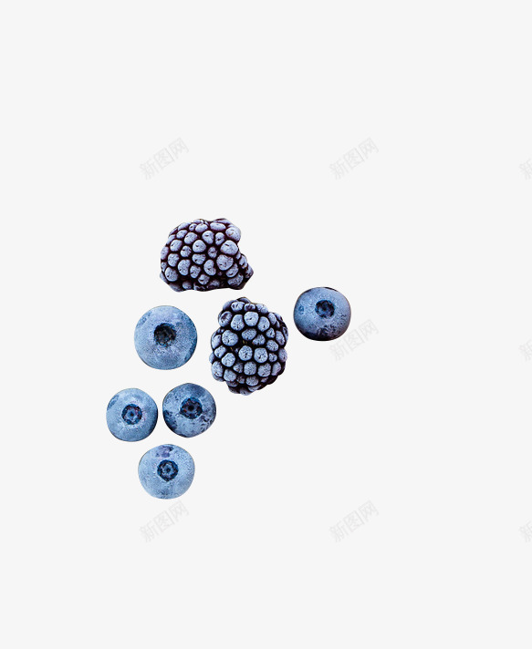植物蓝莓紫色效果png免抠素材_新图网 https://ixintu.com 效果 植物 紫色