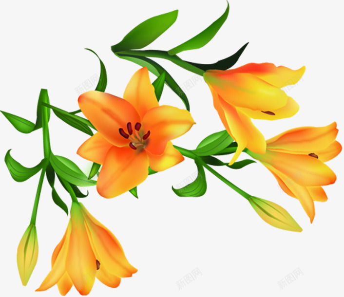 黄色温馨卡通花朵植物png免抠素材_新图网 https://ixintu.com 卡通 植物 温馨 花朵 黄色