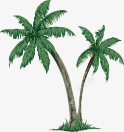 海南椰树图素材