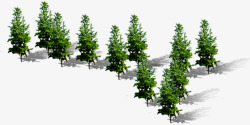 创意绿色松树环境渲染素材
