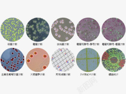 硝化细菌细菌分解高清图片