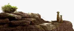 山岩岩石松树素材
