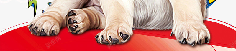 卡通手绘宠物店宣传页图标png_新图网 https://ixintu.com 创意字体png 宠物png 宠物宣传页 宣传页png 宣传页图标 手绘宠物