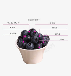蓝莓熊果苷成分分析图素材