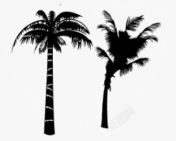 椰树黑色剪影素材