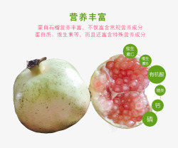 水果营养成分石榴水果高清图片