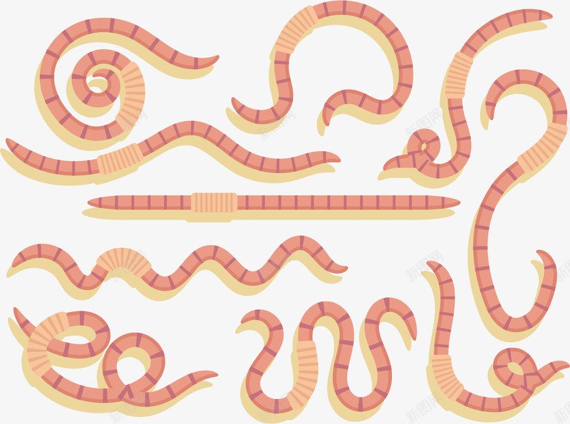 形漫画蚯蚓png免抠素材_新图网 https://ixintu.com 动物 卡通 可爱有趣的 涂鸦 生物 蛇 蠕虫 野生