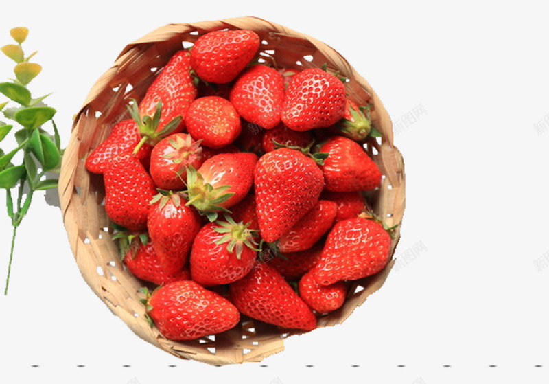 篮子里的草莓png免抠素材_新图网 https://ixintu.com 水果 竹篮子 篮子 草莓 酸甜 食物