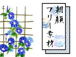 日式字体和牵牛花素材