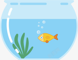 蓝色鱼缸鱼缸里的小鱼高清图片
