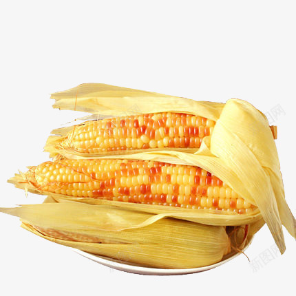 成熟玉米棒png免抠素材_新图网 https://ixintu.com 农产品 带皮甜玉米 新鲜 特产 玉米 玉米粒 美食