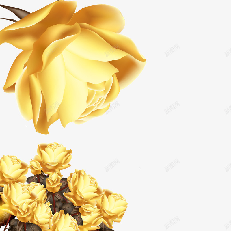 金色玫瑰花psd免抠素材_新图网 https://ixintu.com 唯美 唯美鲜花 玫瑰花 花朵 金色玫瑰花 金色的玫瑰花 镀金 鲜花 黄色