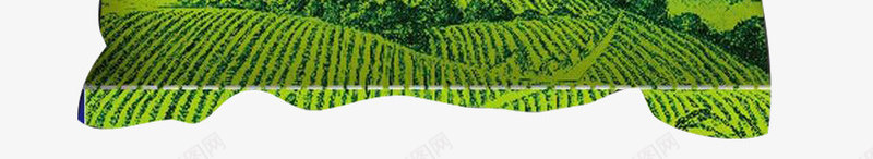 金皖香包装png免抠素材_新图网 https://ixintu.com 包装设计 稻谷 米袋子 绿色 袋子 装大米 金皖香