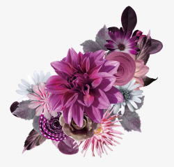 紫色大气花朵素材