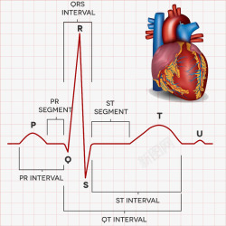 心电图与心脏素材