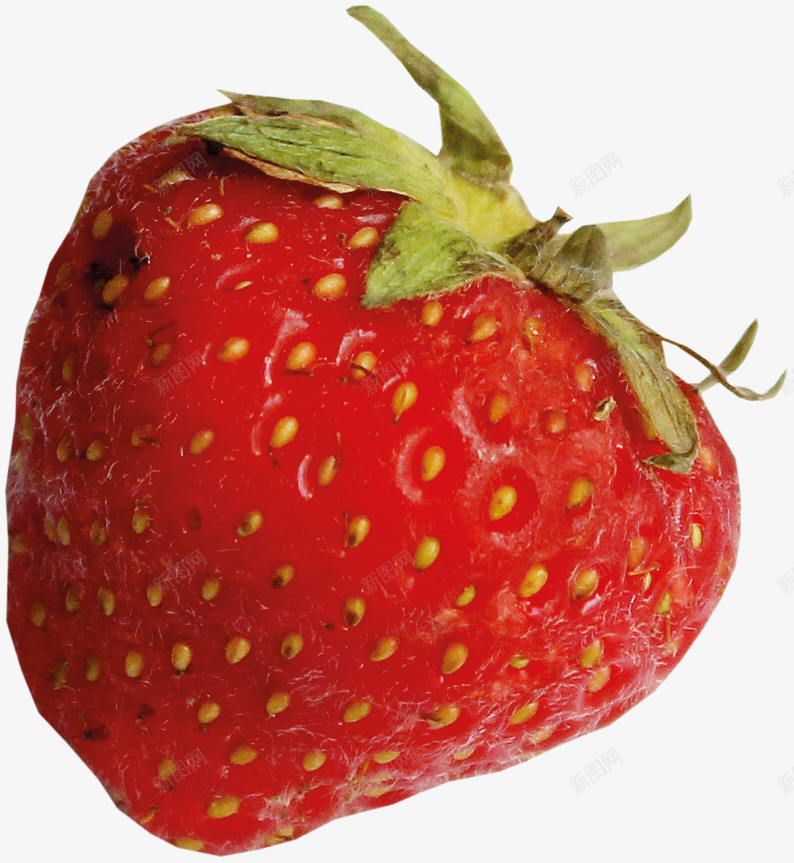 3d水果卡通手绘食物图标png_新图网 https://ixintu.com 卡通3d水果素材 卡通图片 水果 水果图标 水果矢量图