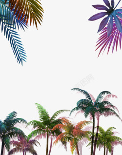 海南椰子树海报背景椰子树高清图片