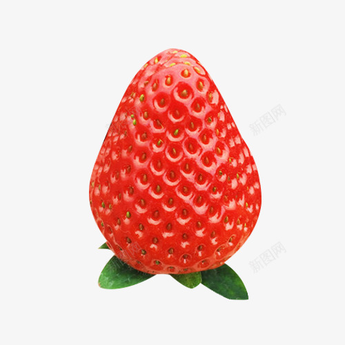 现摘草莓采摘图标png_新图网 https://ixintu.com 3D图片 3d图标 卡通3d水果图片 摄影 新鲜 水果 水果图标 现摘 素描 草莓 草莓水果 草莓采摘 草莓采摘园 食物