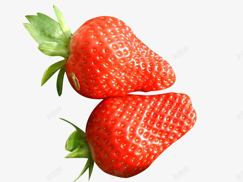 两个红草莓采摘png免抠素材_新图网 https://ixintu.com 两个 红草莓 草莓水果 草莓采摘 食物