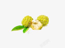 青色菠萝蜜素材