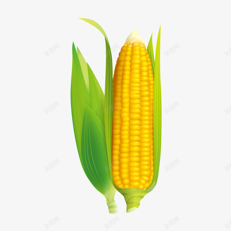 卡通清新玉米农作物png免抠素材_新图网 https://ixintu.com 农作物 卡通 清新 玉米