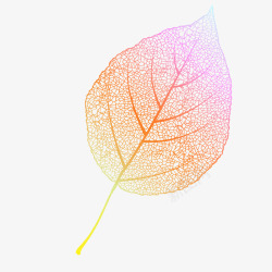 手工水晶叶子树叶标本高清图片