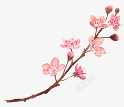 一枝桃花素材