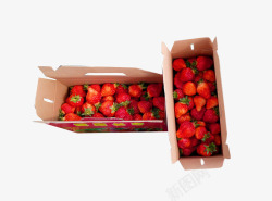 两箱两箱草莓采摘图标高清图片