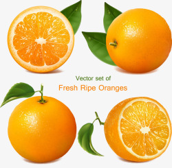 黄色橙子生鲜平面素材