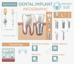 牙科信息图表矢量图素材