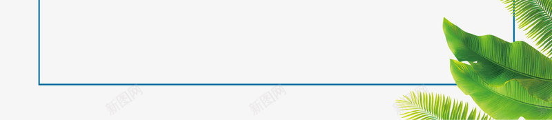 绿色清新棕叶装饰边框png免抠素材_新图网 https://ixintu.com 创意 夏季 旅游 棕叶 清新 绿色 装饰 边框