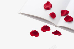 红色本子空白本子上的玫瑰花瓣高清图片