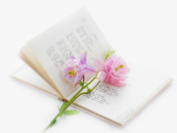 粉色书本唯美文字书本花朵高清图片