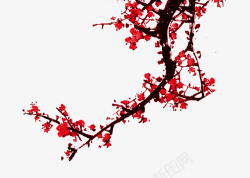多彩花枝装饰画中国风红色的梅花高清图片
