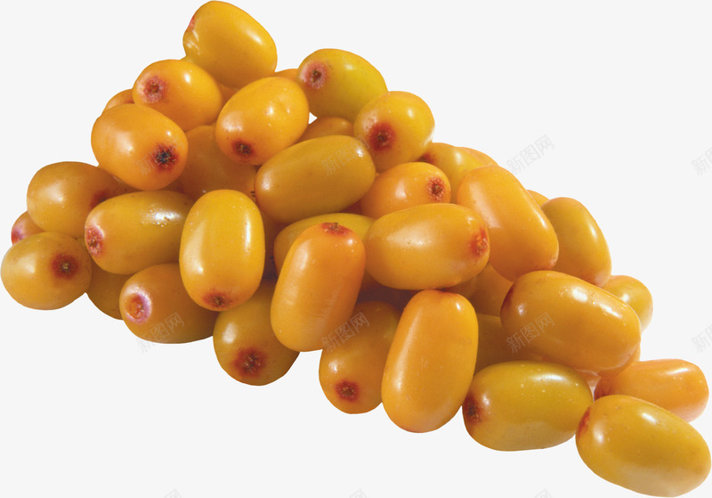 黄色沙棘果png免抠素材_新图网 https://ixintu.com 抗癌药材 果实 沙棘 沙棘果 沙棘树 黄色的果实