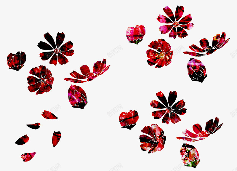 彩色艳丽红色花朵png免抠素材_新图网 https://ixintu.com 卡通花朵 日式花朵图案 植物花朵 花卉