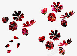 彩色艳丽红色花朵素材