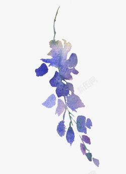 紫色的植物素材