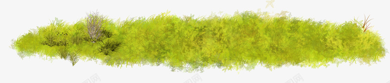 黄色植物唯美模板png免抠素材_新图网 https://ixintu.com 免扣 唯美 植物 素材模板 高清