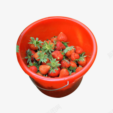 草莓采摘一桶图标图标