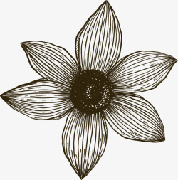 素描黑色花朵素材