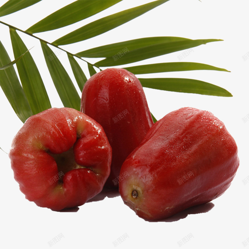 精拍莲雾png免抠素材_新图网 https://ixintu.com 植物 水果 红色 绿叶 莲雾 食物