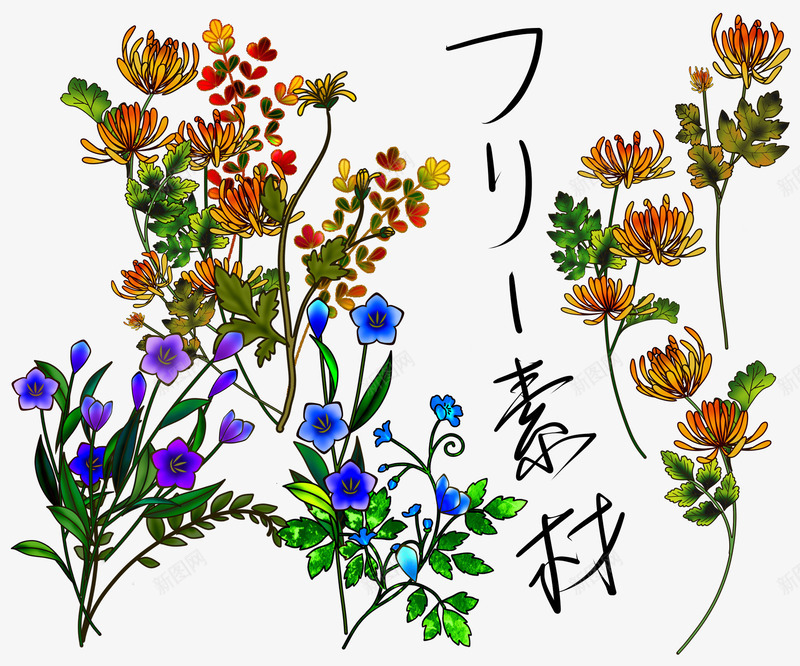 日式古典花朵花卉png免抠素材_新图网 https://ixintu.com 古典花朵图案 日式花朵 花卉 花朵