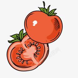 水果西红柿矢量图素材