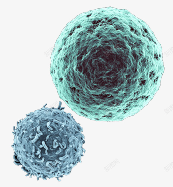 彩色生物医学细胞图形png免抠素材_新图网 https://ixintu.com 健康 医学细胞 生物 癌细胞 研究 细胞