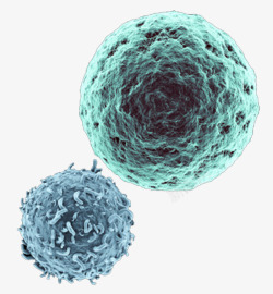 彩色生物医学细胞图形素材