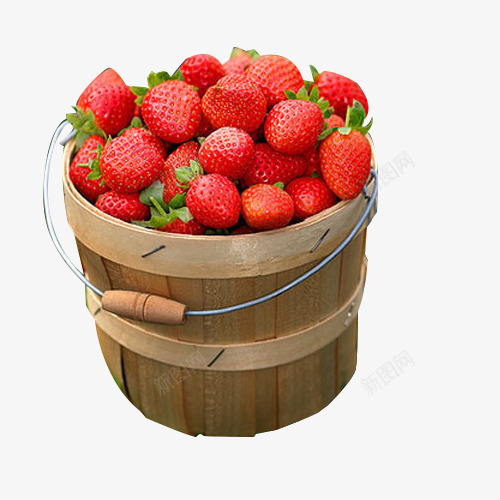 一桶草莓采摘图标png_新图网 https://ixintu.com 3D图片 3d图标 一桶 卡通3d水果图片 摄影 新鲜 水果 水果图标 素描 草莓 草莓水果 草莓采摘 草莓采摘园 食物