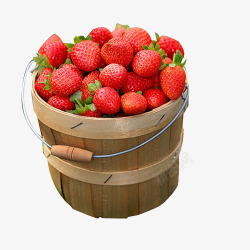一桶草莓一桶草莓采摘图标高清图片
